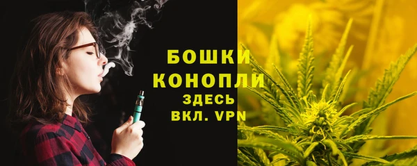 mix Белокуриха