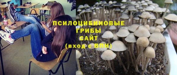 mix Белокуриха